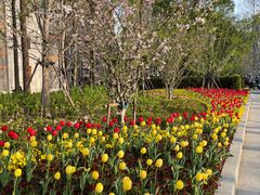 -豫园志愿服务青年中心