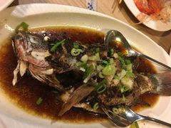 清蒸石斑-Isla Sugbu Seafood City