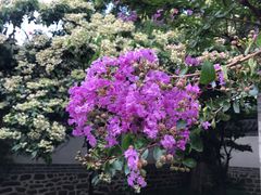 -蓬莱阁景区