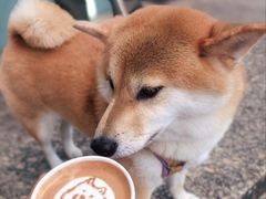 -HANA COFFEE(长寿路店)