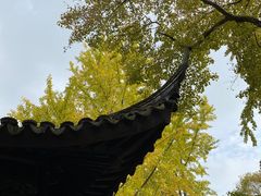 -拙政园