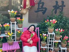 -乌村