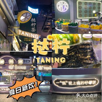 “挞”在这个夏天给了我一点“绿”