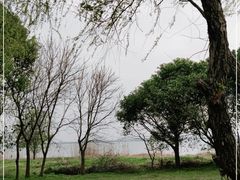 -莲花岛景区