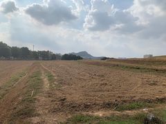 -光明小镇欢乐田园