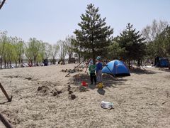 -东郊湿地公园
