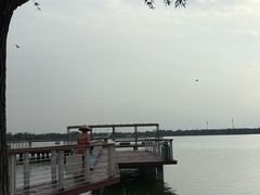 -天津金海湖