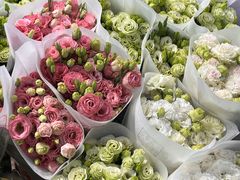 -双季花艺园艺市场(浦东店)