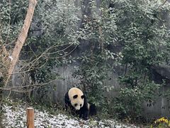 -红山森林动物园