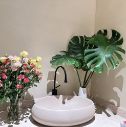 -芮澳普拉提工作室