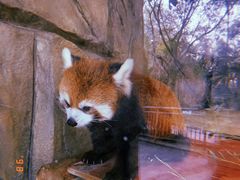 -东部华侨城