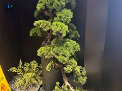 -三品香·江浙菜(松江九谊店)