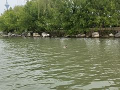 -天津水上公园