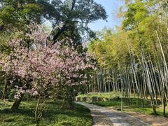 -采石矶景区