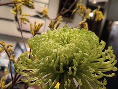 -花锦堂·隐庐