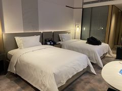 -深圳国际会展中心希尔顿酒店(前海华发冰雪世界店)