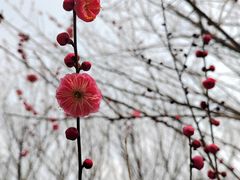 -南湖湿地公园