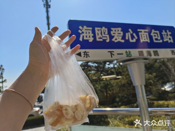 栈桥景区图片