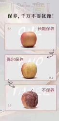 -YESIDO椰岛美容