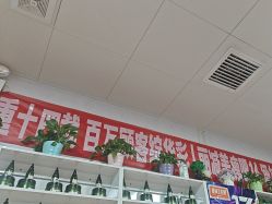 -丽减美瘦吧·瘦身塑形