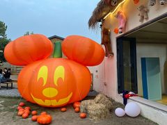 -HERRE·FARM 赫尔露营农场·团建聚会包场