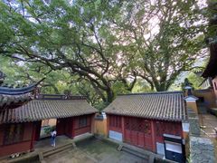 -法雨寺餐厅