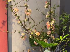 -蘇锦宴·淮扬菜烤鸭·小院(三元桥霄云路店)