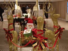 -香港皇家太平洋酒店