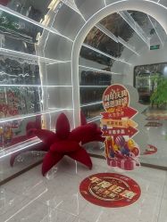 点击看大图 -Lily纤美·科技减脂中心