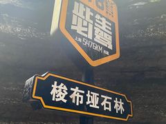 -梭布垭石林景区