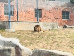 -无锡动物园·太湖欢乐园