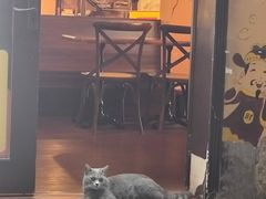 -猫岛主趣味餐厅(鼓浪屿店)