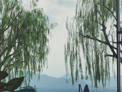 景观位-杭州西湖柳莺里酒店·闻莺厅