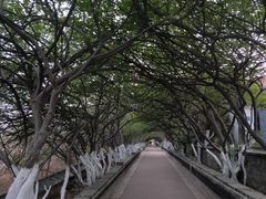 -烟台山景区