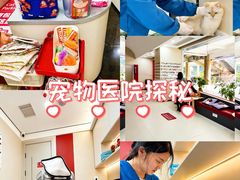 -御宝贝24h宠物医院·转诊中心·CT核磁血透中心(厦门总院)