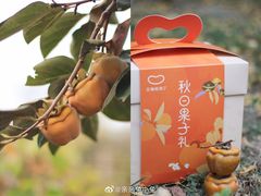 艾格吃饱了秋日果子礼盒-盒马鲜生(龙德广场店)