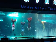 -泉城欧乐堡海洋极地世界