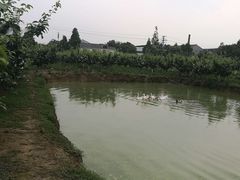 -呼吸森林·生态农庄农家乐私房菜