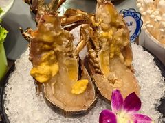 -东海怡品海鲜豆捞(星街坊店)
