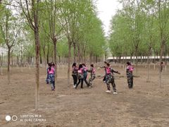 -亲兄弟真人CS团建拓展基地
