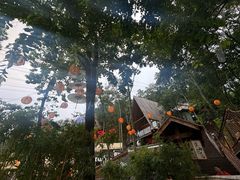 -伴山茶苑·围炉煮茶