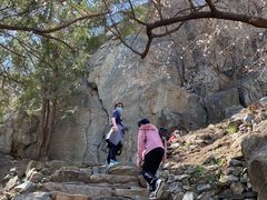-北京鹫峰国家森林公园