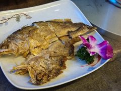 -利杨记·本味轩粥坊·烧烤(宝体店)