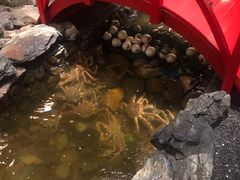 -綱元·海鲜豆捞(明州里店)