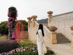 -东莞植物园