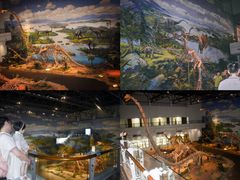 -自贡恐龙博物馆