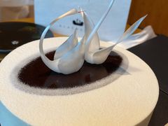 -BLACKSWAN黑天鹅(环球店)