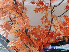 -八次方密云水库鱼粘卷子·熏鸽子·农家菜