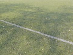 -陕西师范大学(雁塔校区)