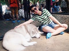-TrueLove @ Neverland (Husky Cafe)